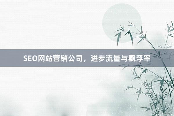 SEO网站营销公司，进步流量与飘浮率