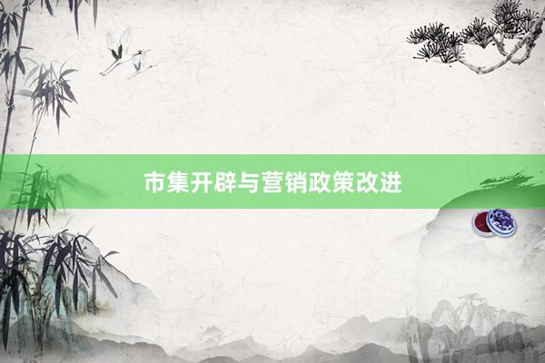 市集开辟与营销政策改进